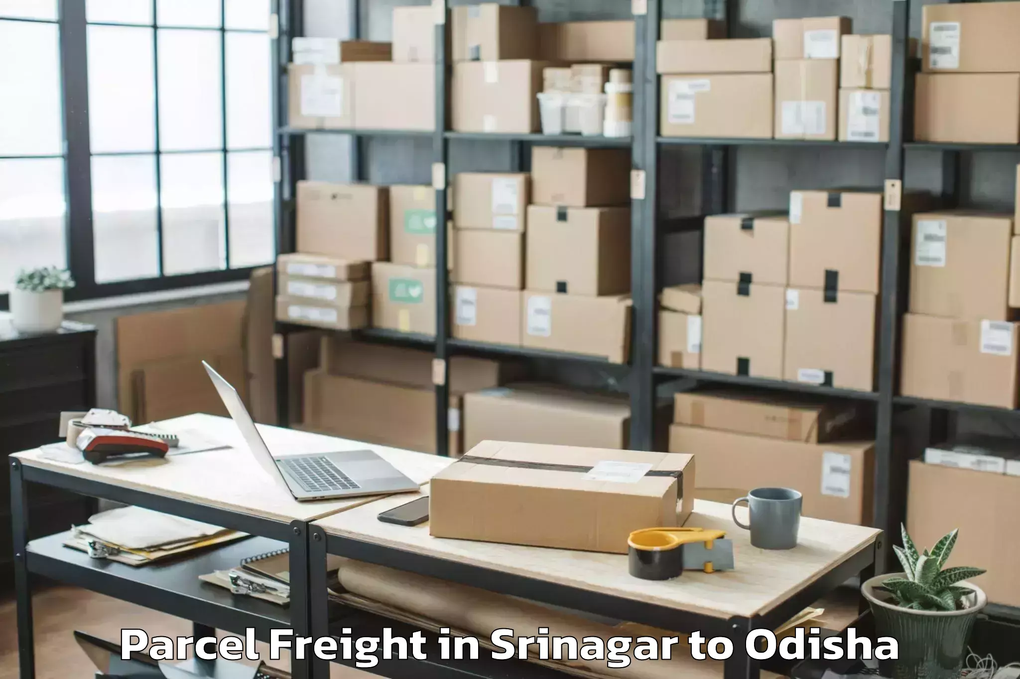 Efficient Srinagar to Badampahar Parcel Freight